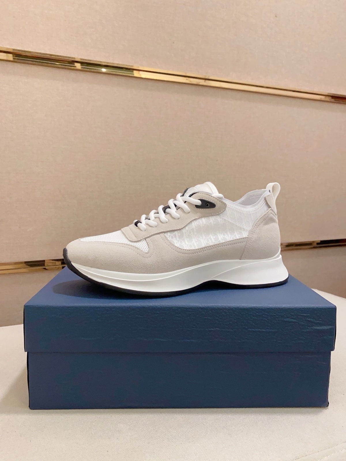 Dior B30 Low-Top Sneakers — front