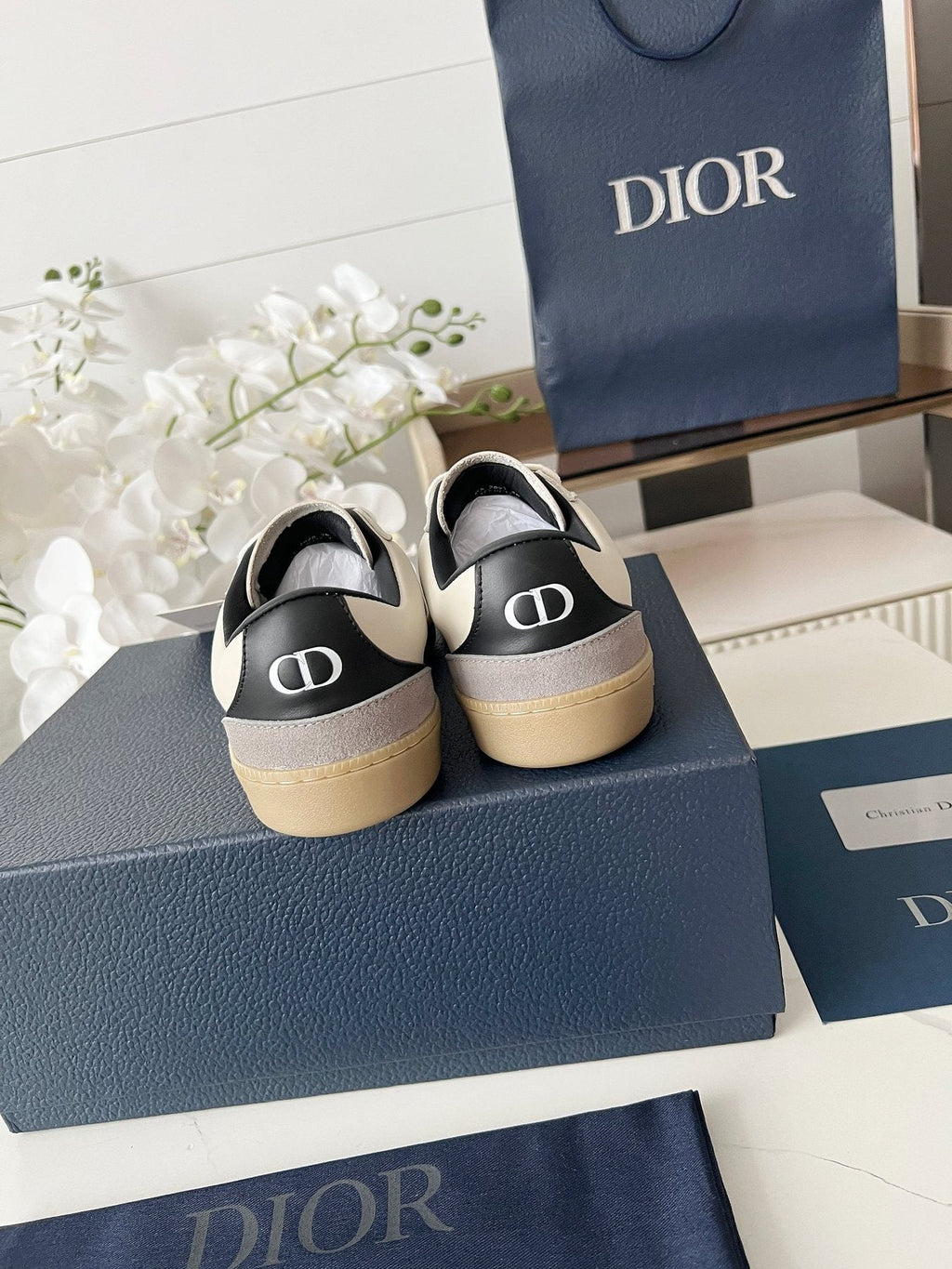Dior B01 Low-Top Sneakers — back