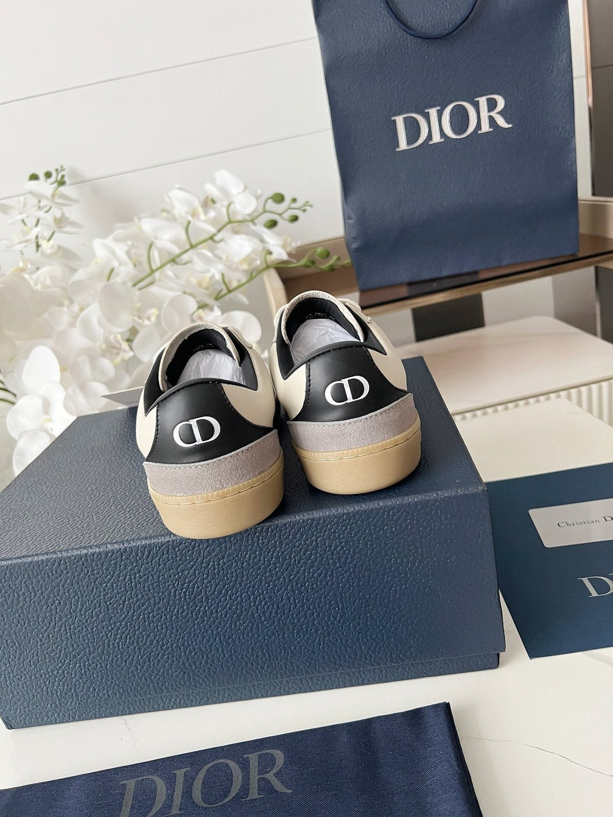Dior B01 Low-Top Sneakers — back