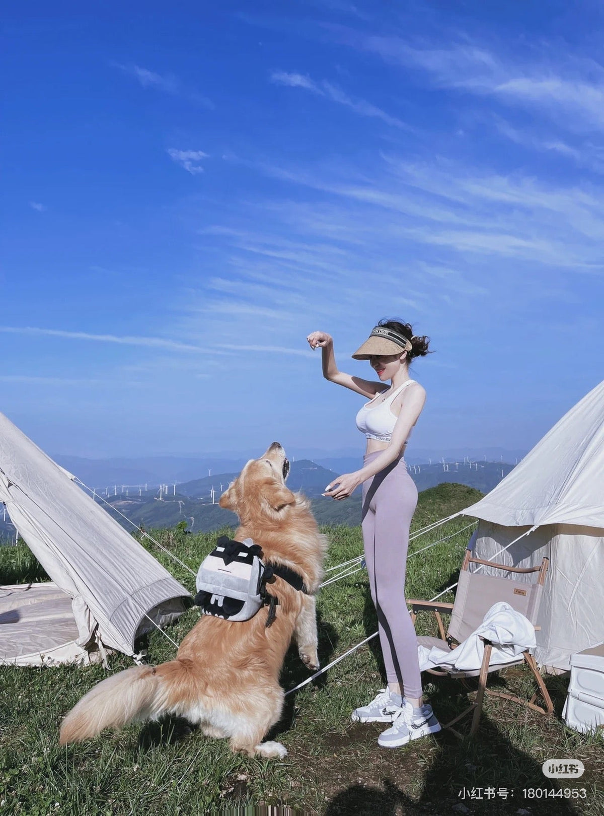 DIOR Sun Visor